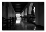 _L1003685